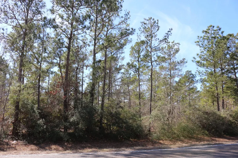 4 Hwy 356 Onalaska, TX 77360