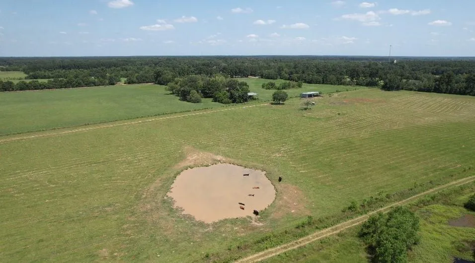 191 County Road 2276 Cleveland, TX 77327