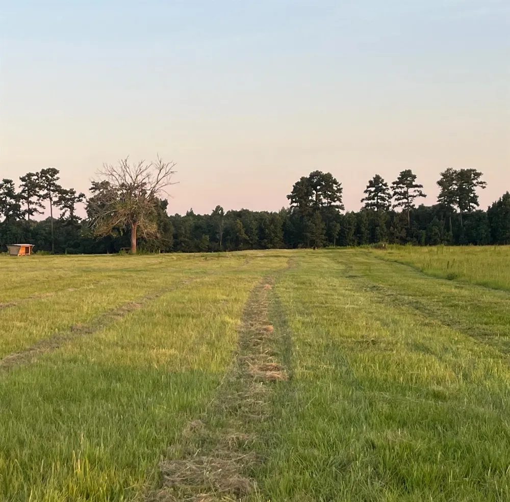 191 County Road 2276 Cleveland, TX 77327