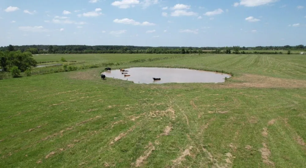 191 County Road 2276 Cleveland, TX 77327