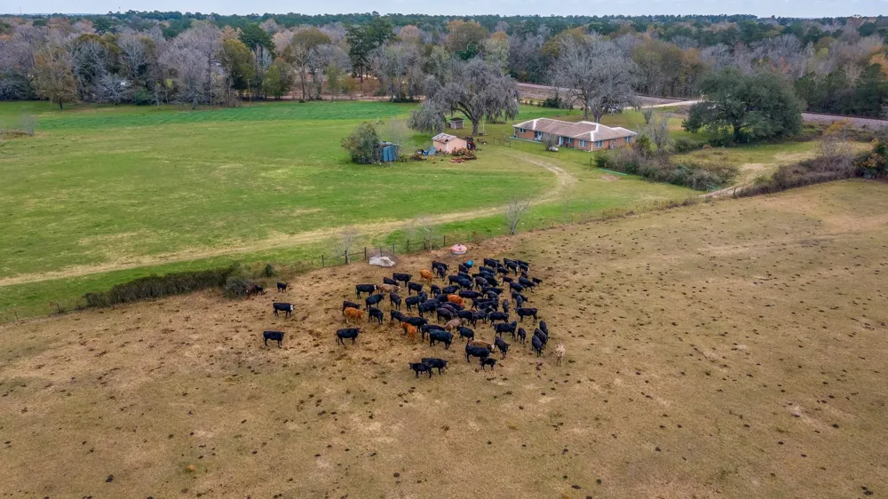 187 County Road 2194 Cleveland, TX 77327