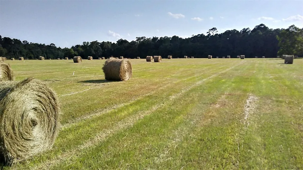 187 County Road 2194 Cleveland, TX 77327