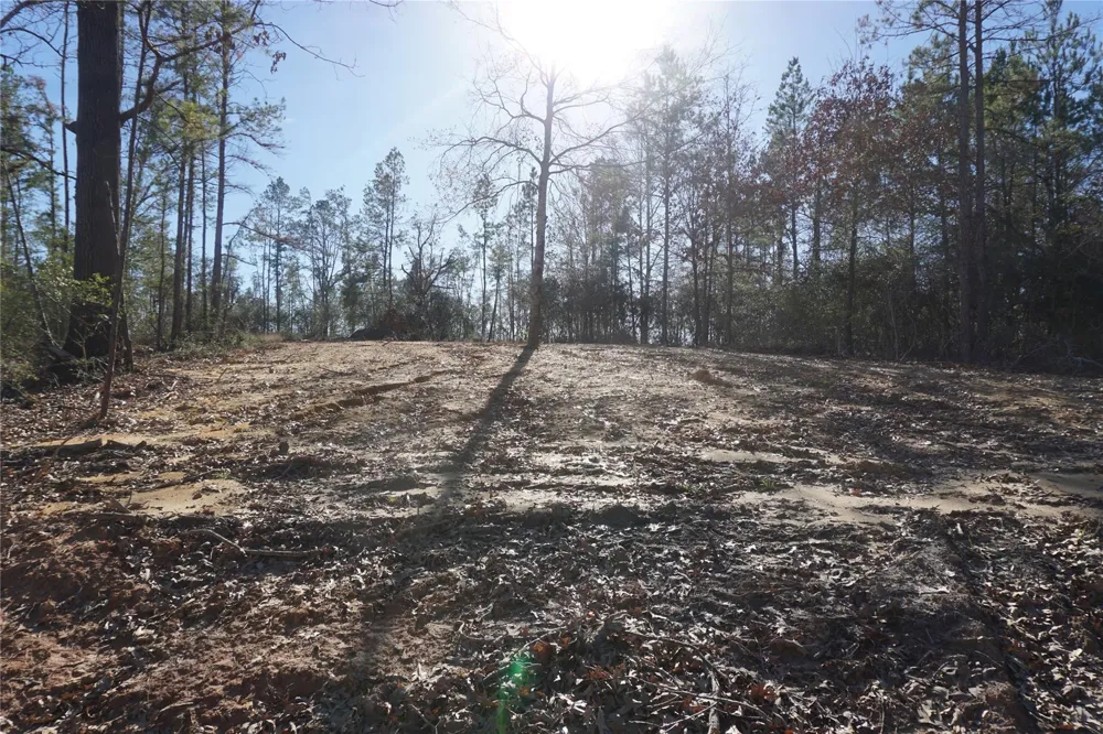9301 Private Road 2851 Tract 2 Buffalo, TX 75831