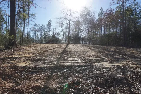 9301 Private Road 2851 Tract 2