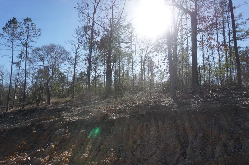 9301 Private Road 2851 Tract 2 Buffalo, TX 75831