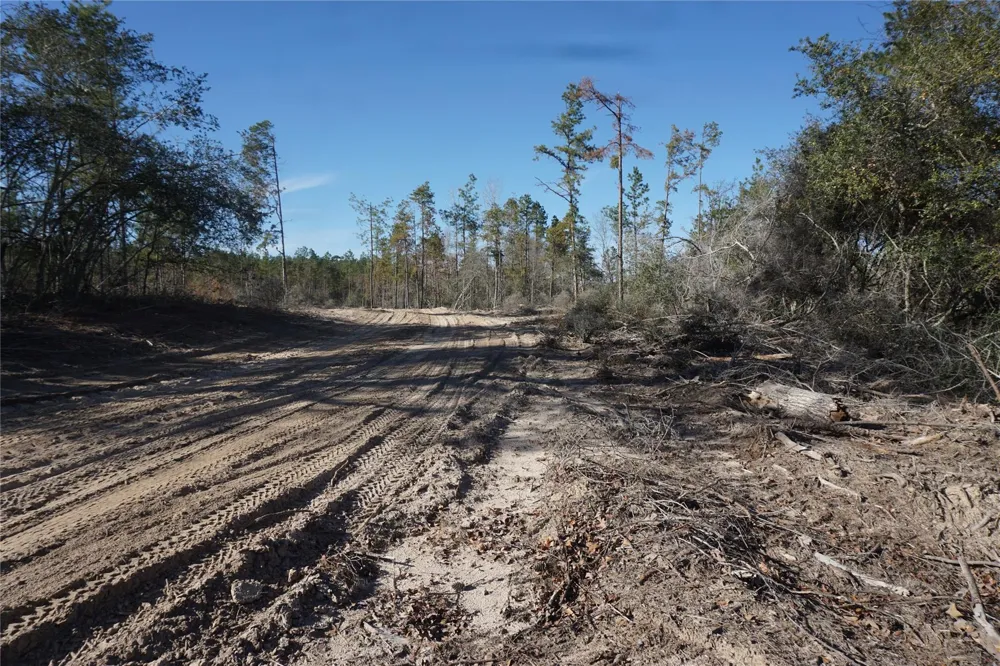 9301 Private Road 2851 Tract 2 Buffalo, TX 75831