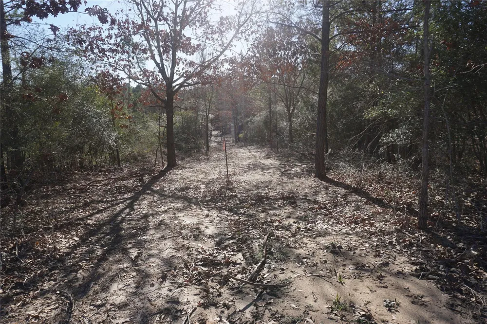 9301 Private Road 2851 Tract 2 Buffalo, TX 75831