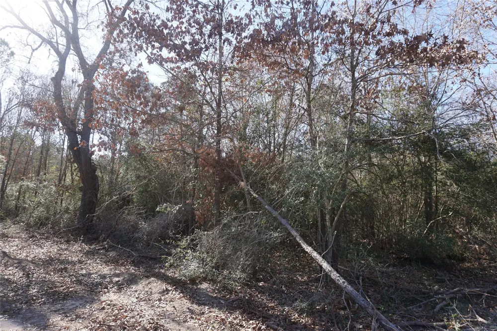 9301 Private Road 2851 Tract 2 Buffalo, TX 75831