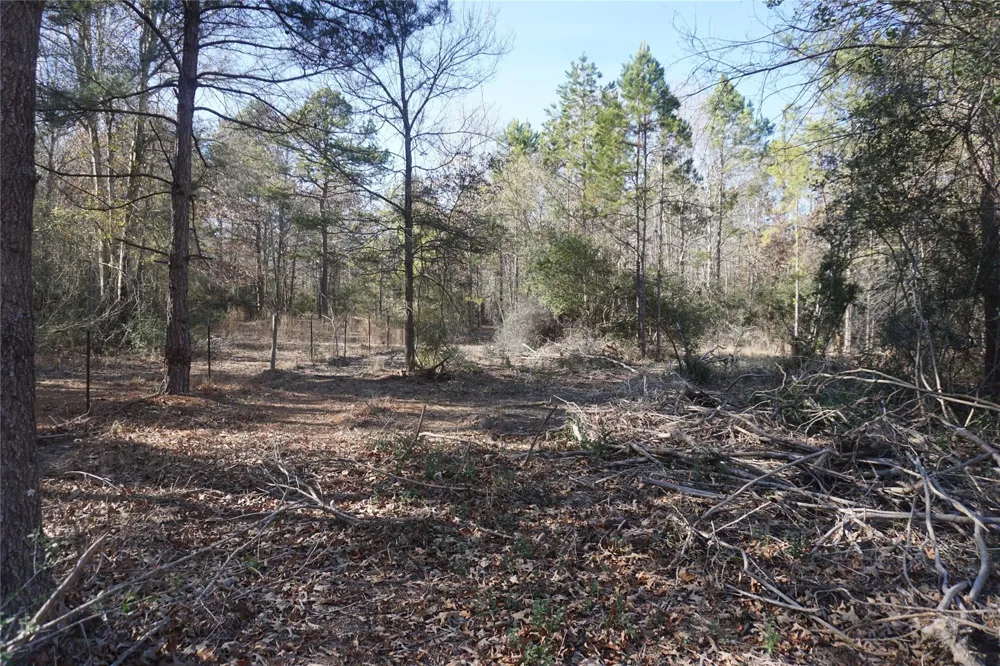 9301 Private Road 2851 Tract 2 Buffalo, TX 75831