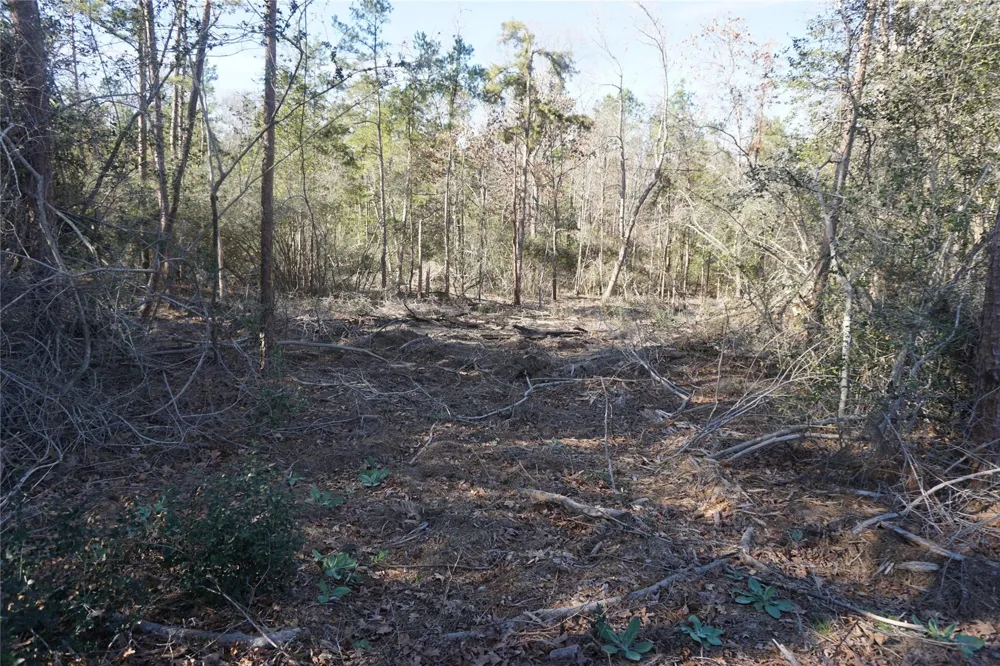 9001 Private Road 2851 Buffalo, TX 75831