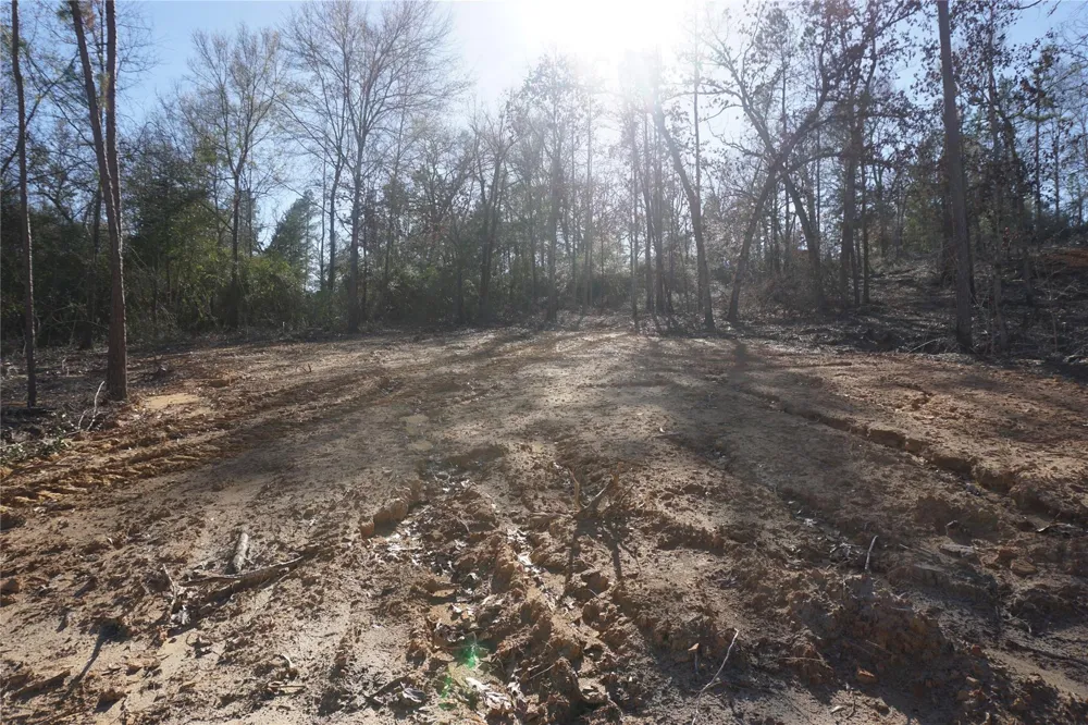 9223 Private Road 2851 Buffalo, TX 75831