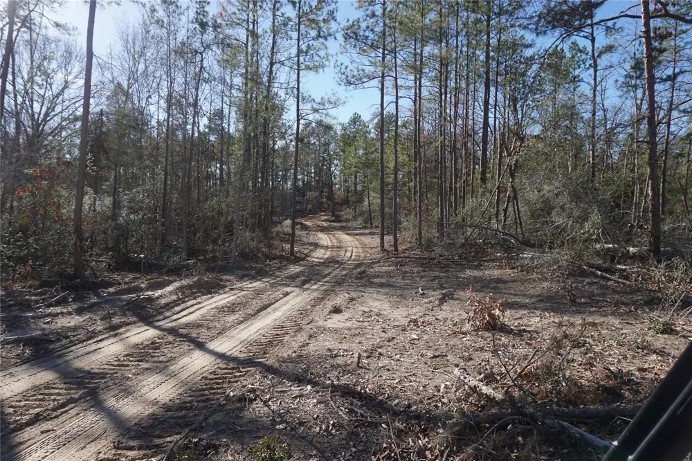 9223 Private Road 2851 Buffalo, TX 75831