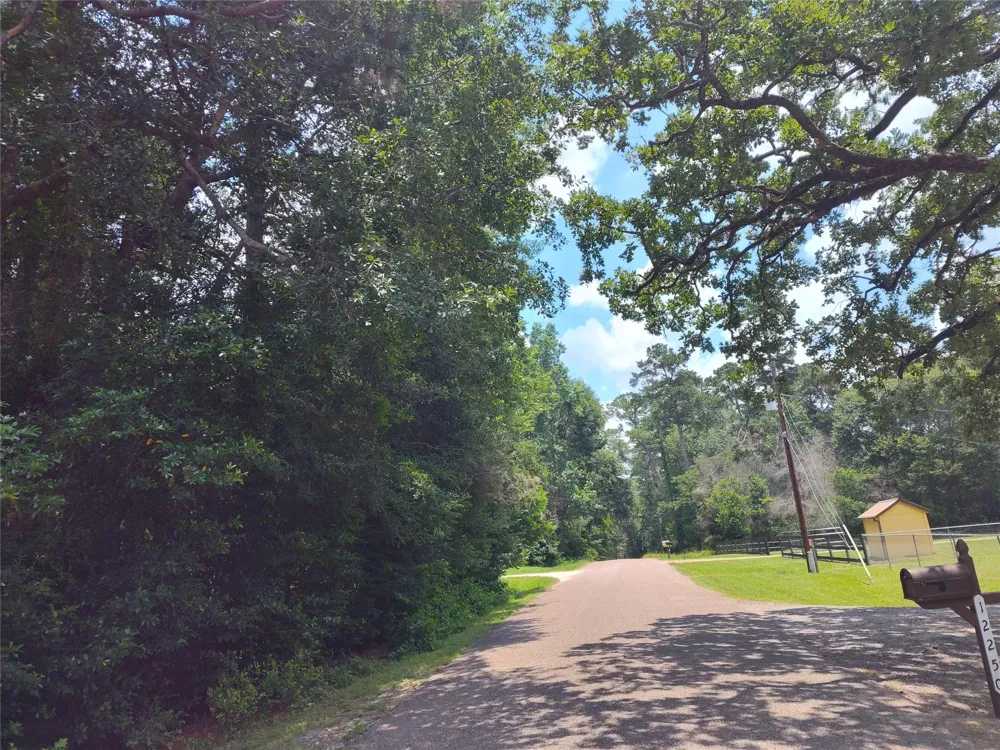 Rollingwood Loop Conroe, TX 77303