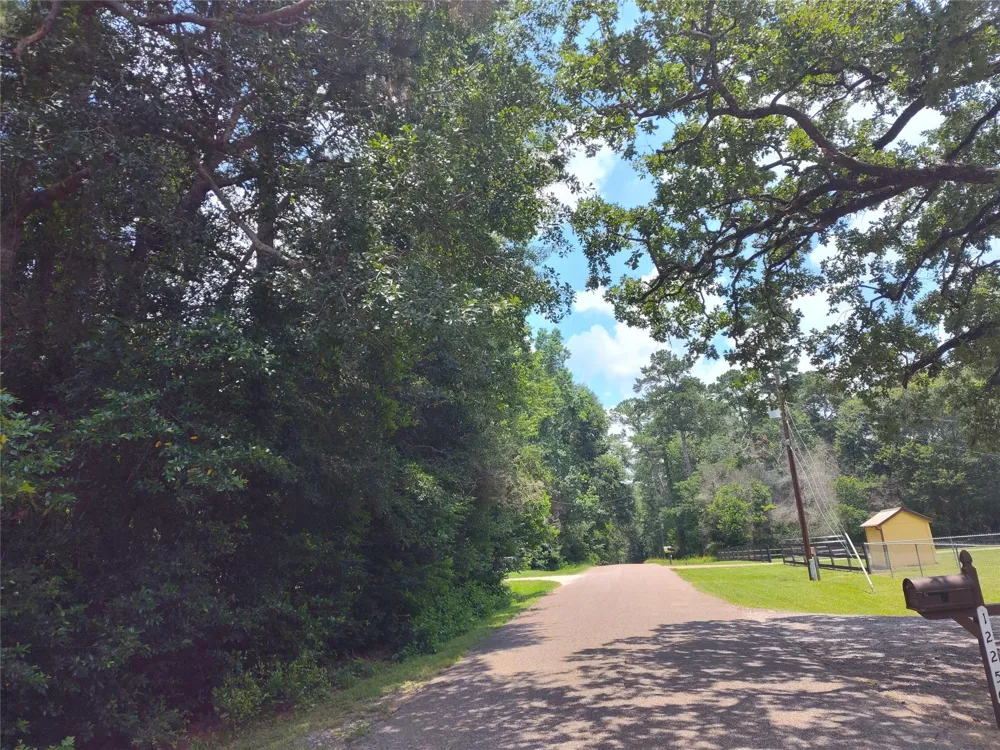 Rollingwood Loop Conroe, TX 77303