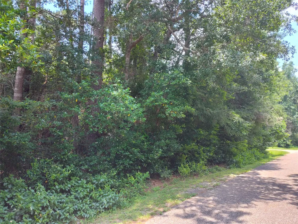 Rollingwood Loop Conroe, TX 77303