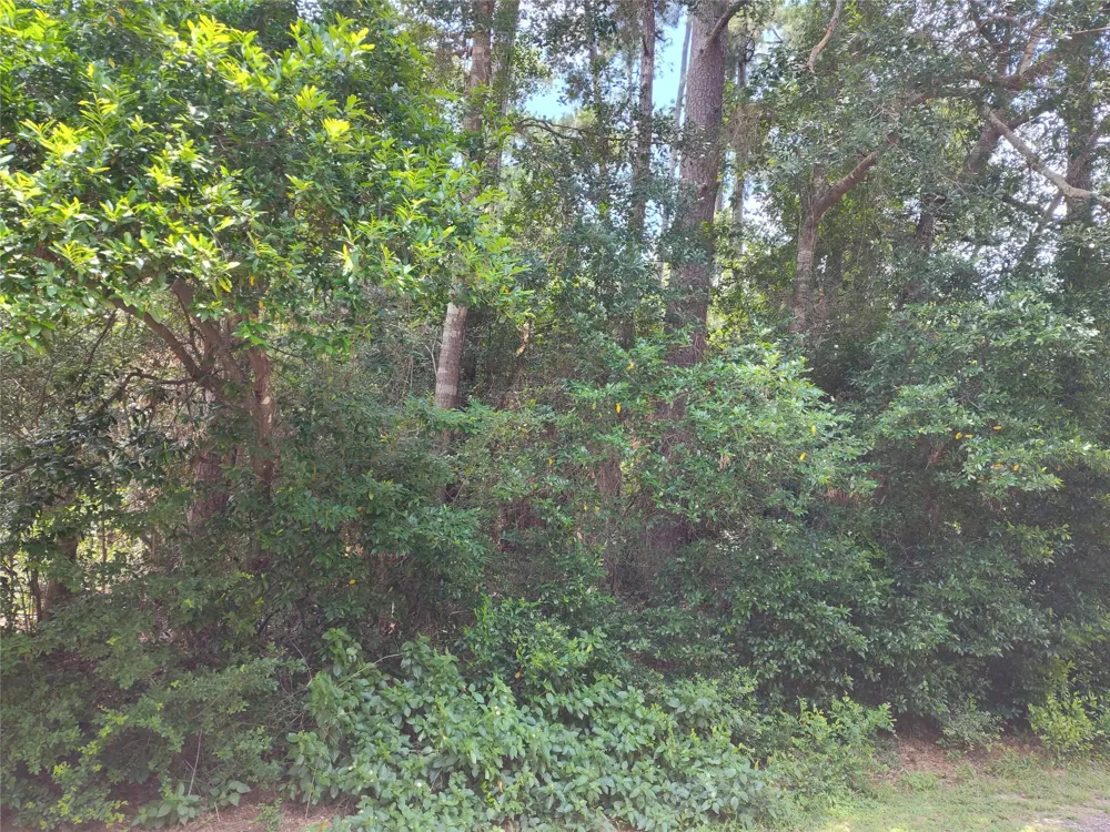 Rollingwood Loop Conroe, TX 77303