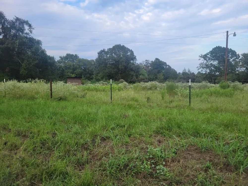 1 Cr 236 Oakwood, TX 75855