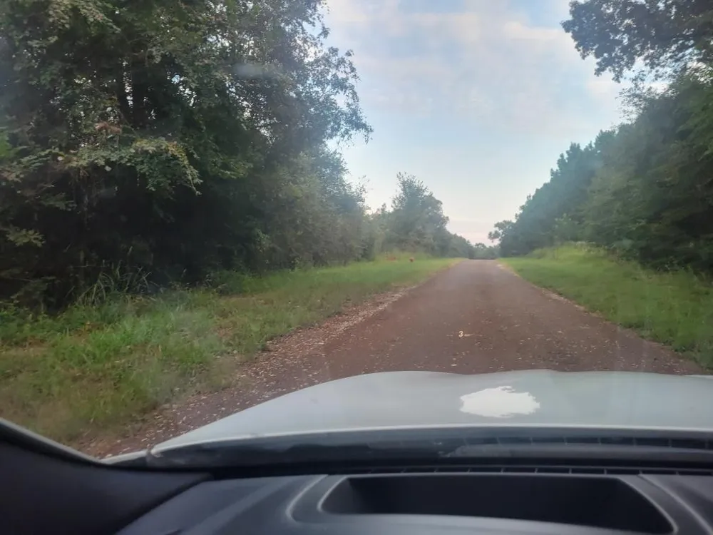 1 Cr 236 Oakwood, TX 75855