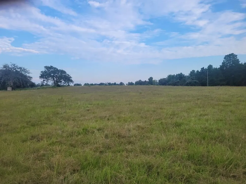 1 Cr 236 Oakwood, TX 75855