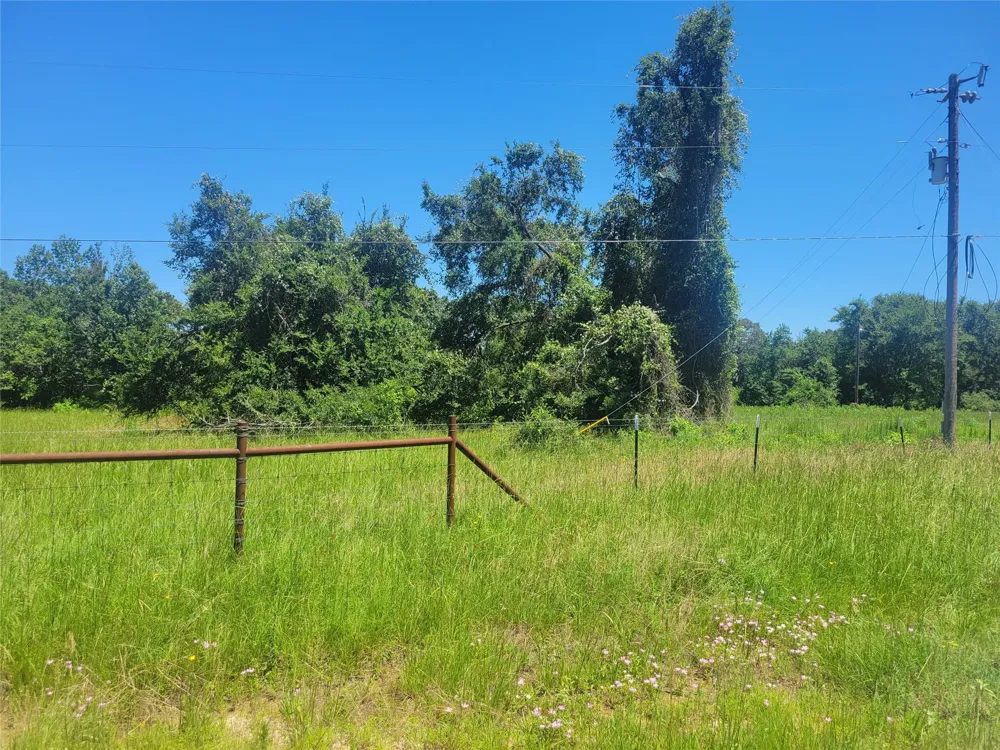 1 Cr 236 Oakwood, TX 75855