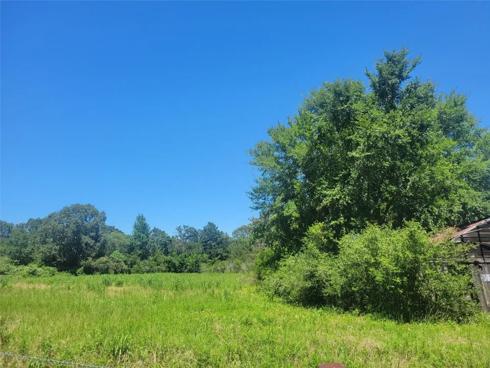 1 Cr 236 Oakwood, TX 75855