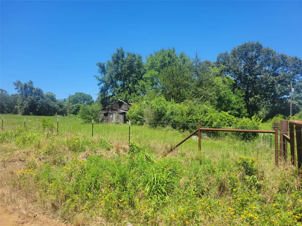 1 Cr 236 Oakwood, TX 75855