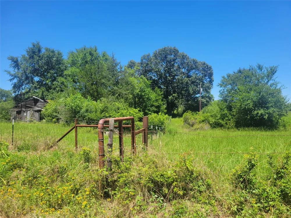 1 Cr 236 Oakwood, TX 75855
