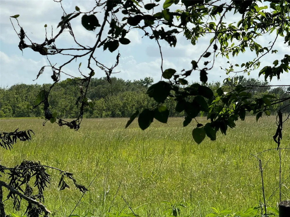 County Road 211 Danbury, TX 77534