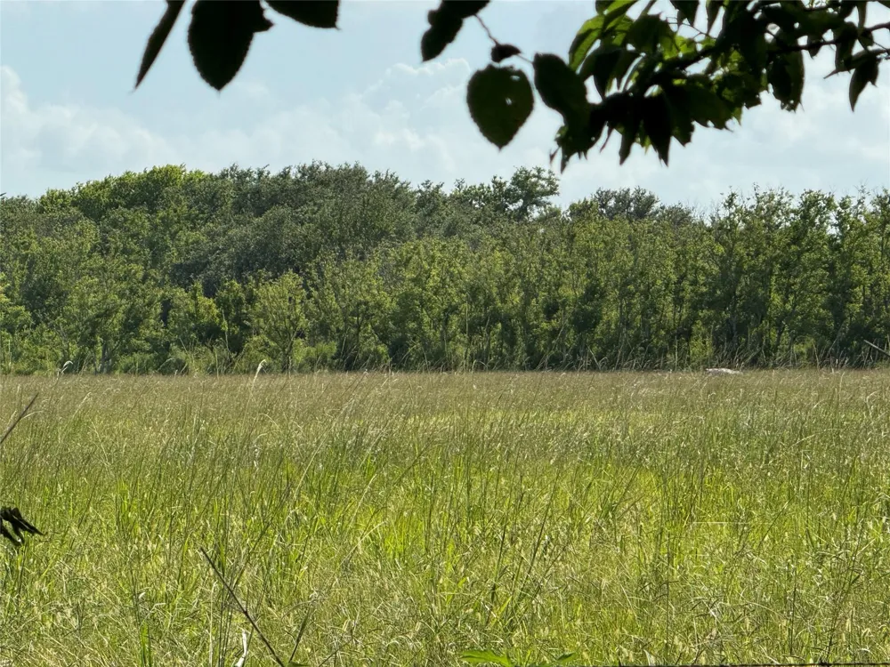 County Road 211 Danbury, TX 77534