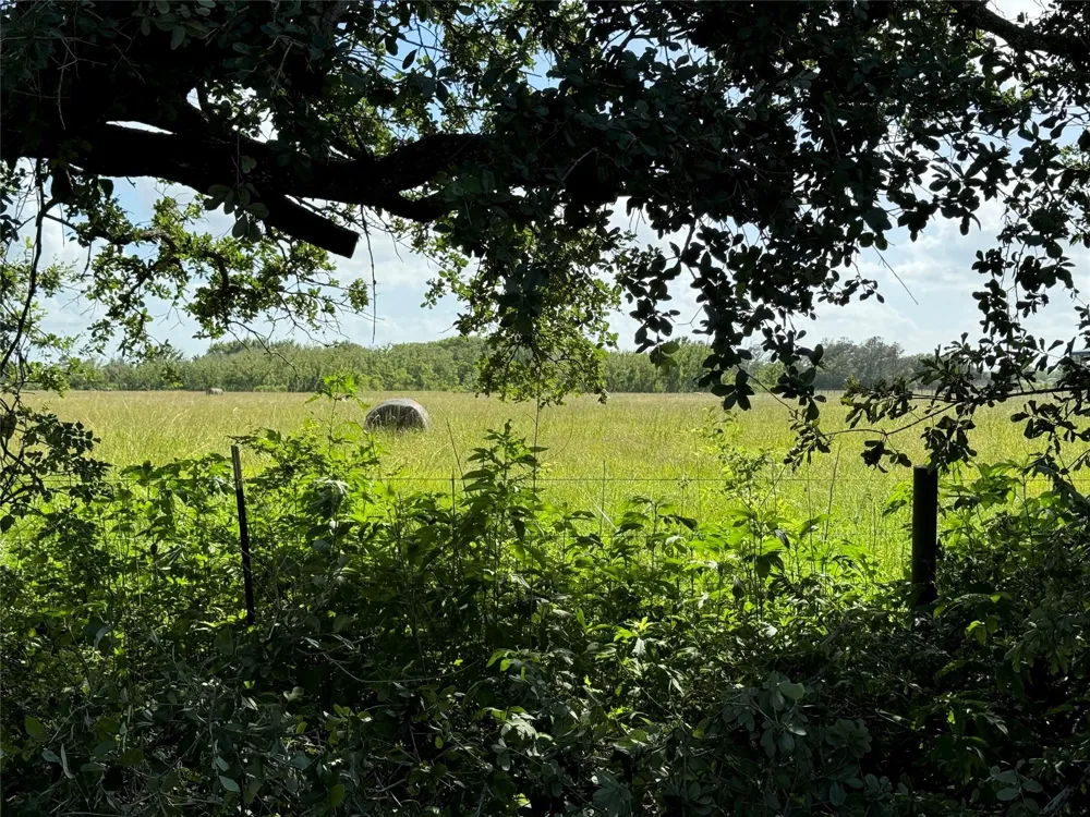 County Road 211 Danbury, TX 77534