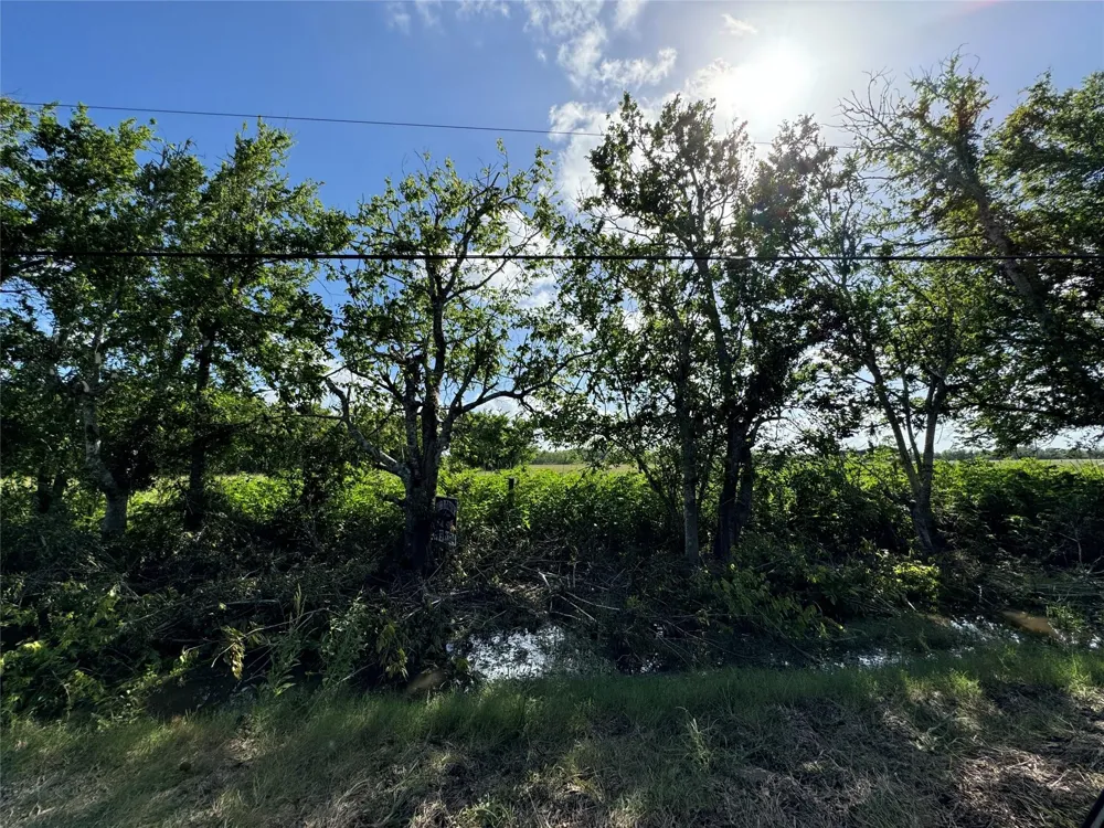 County Road 211 Danbury, TX 77534