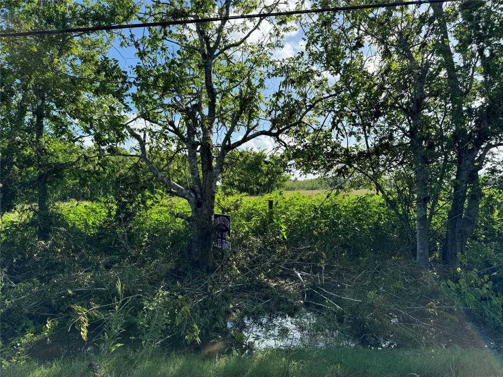 County Road 211 Danbury, TX 77534
