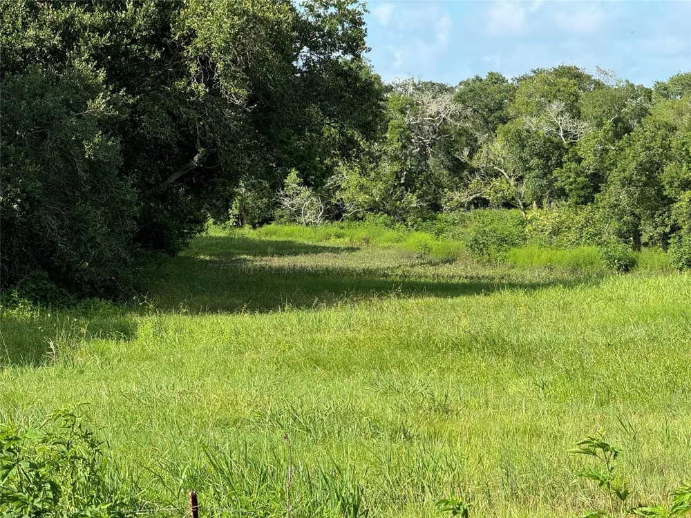 County Road 211 Danbury, TX 77534