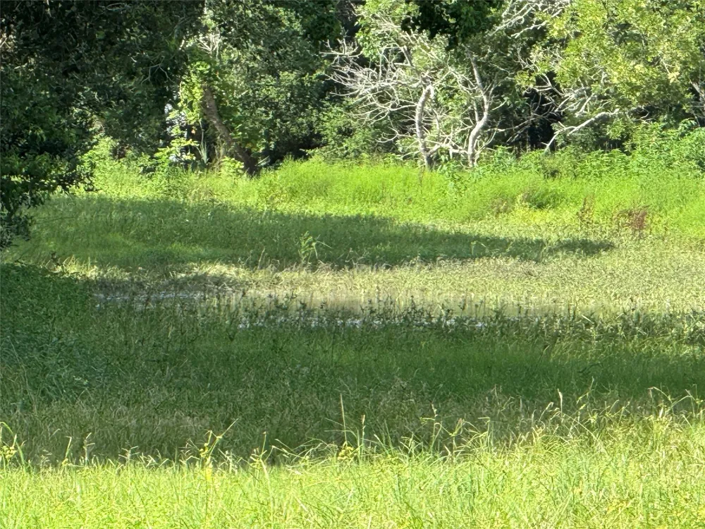 County Road 211 Danbury, TX 77534