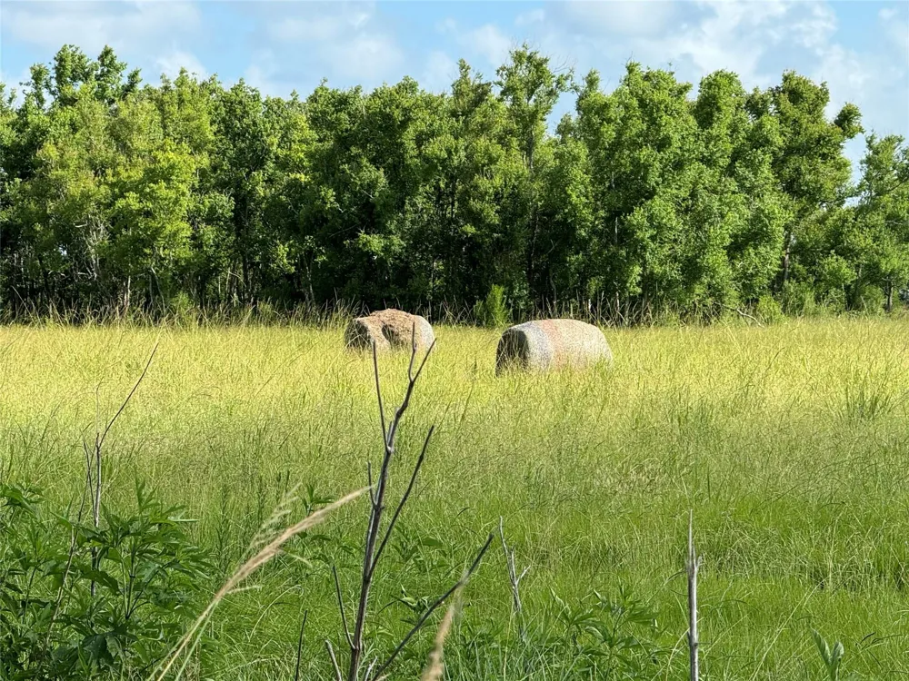 County Road 211 Danbury, TX 77534