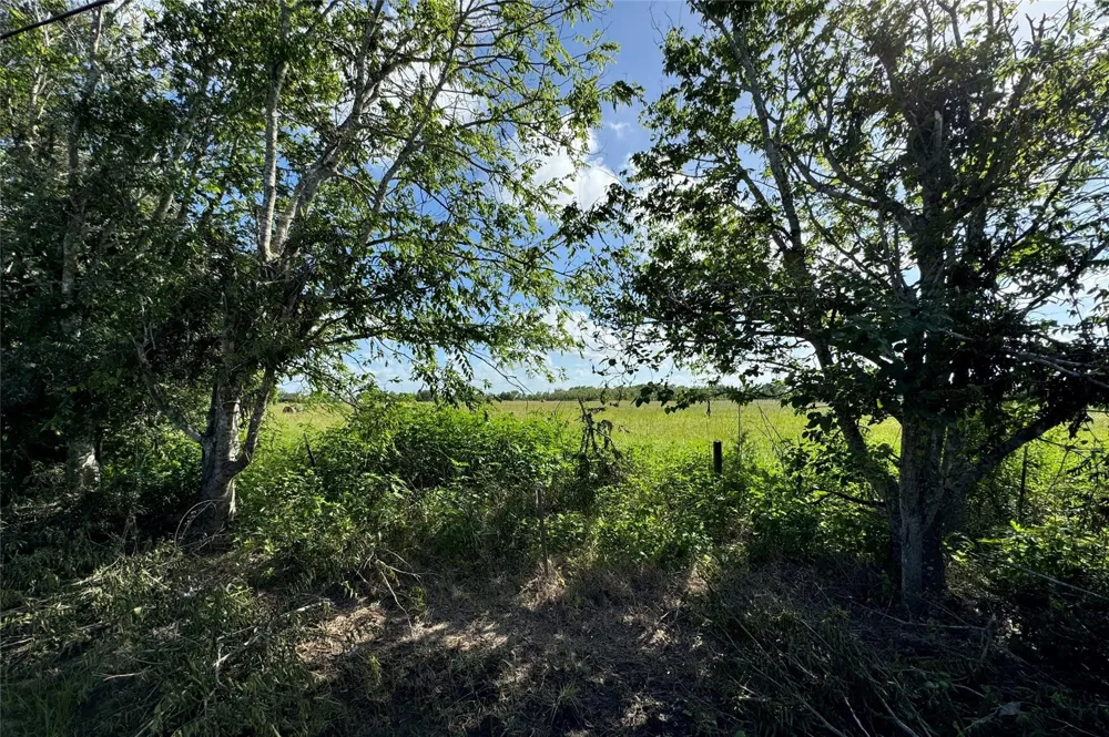 County Road 211 Danbury, TX 77534