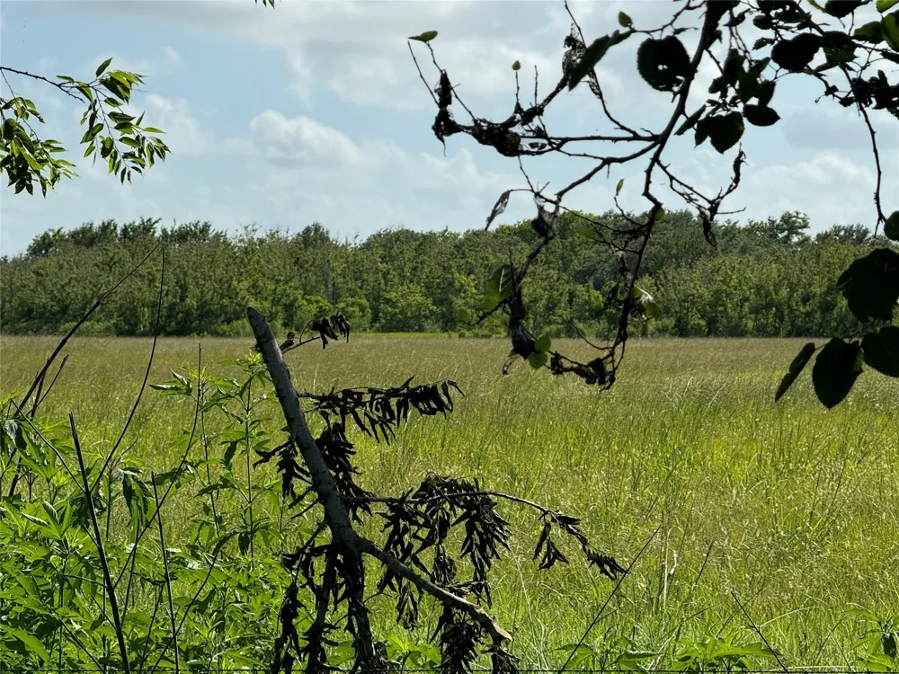 County Road 211 Danbury, TX 77534