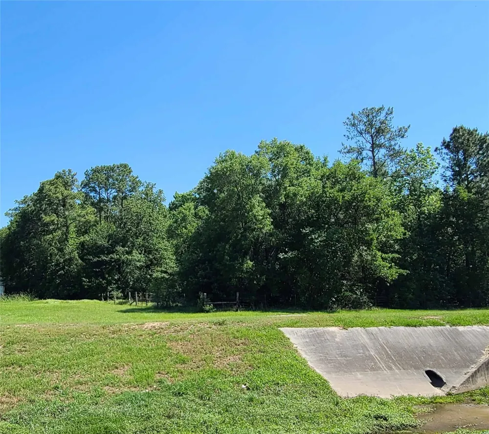 411 Springwood Drive Conroe, TX 77385