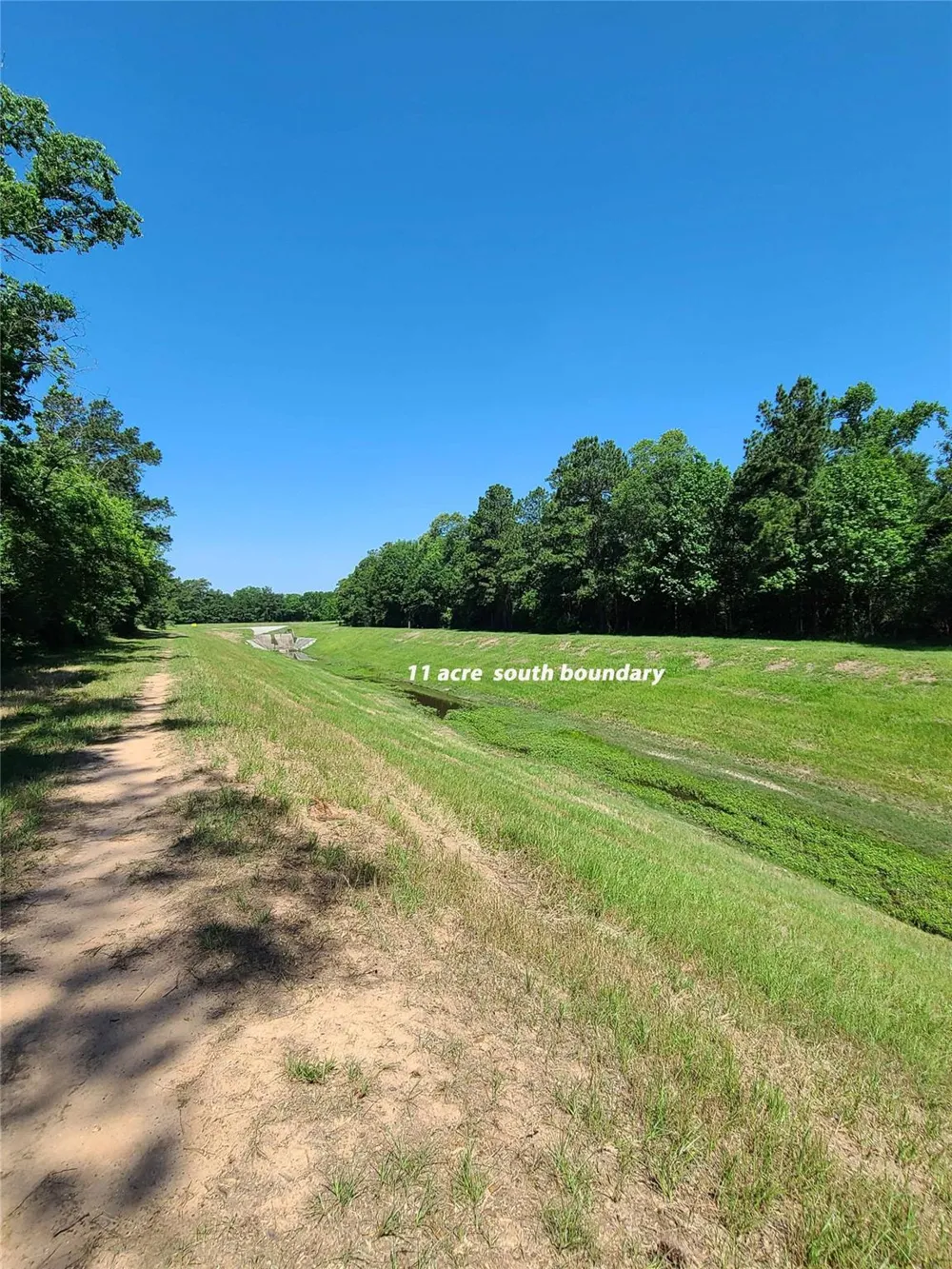 411 Springwood Drive Conroe, TX 77385