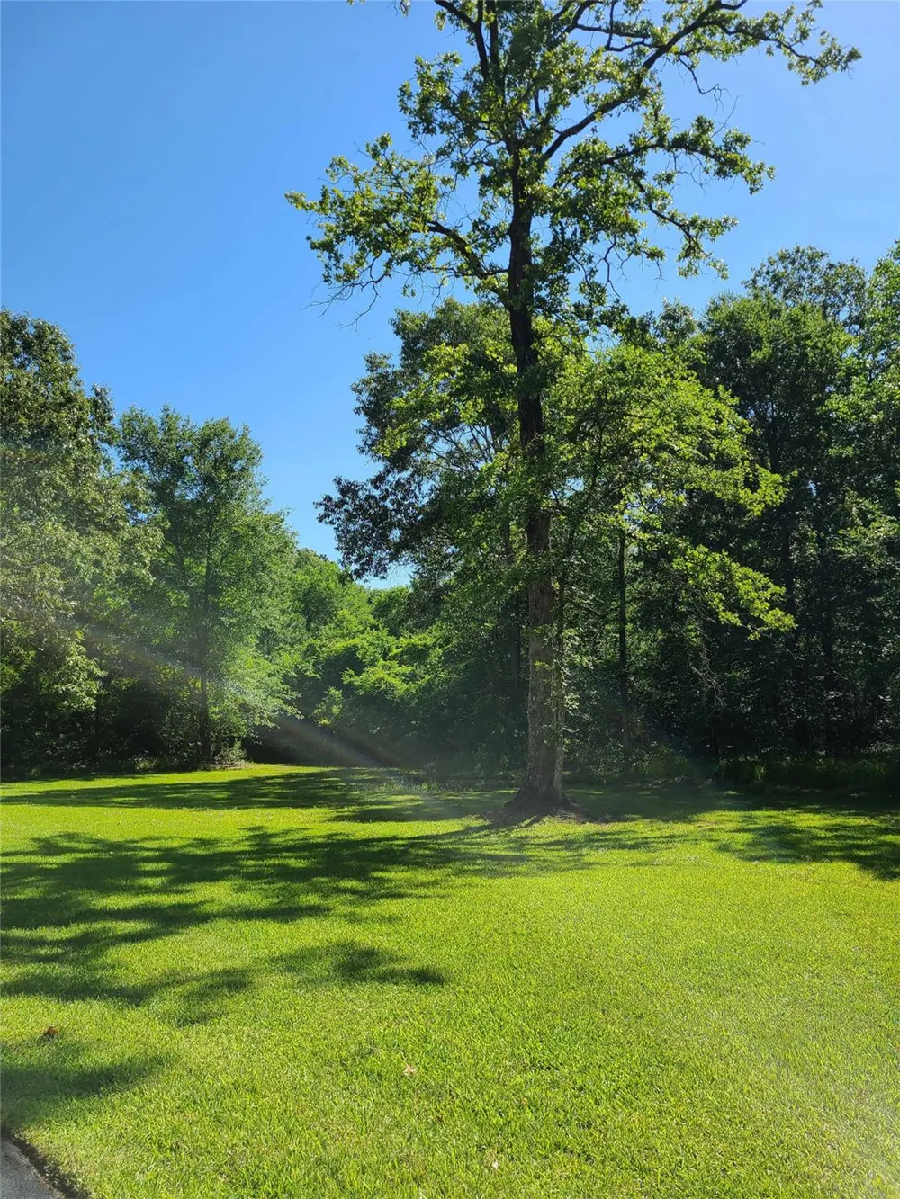 411 Springwood Drive Conroe, TX 77385