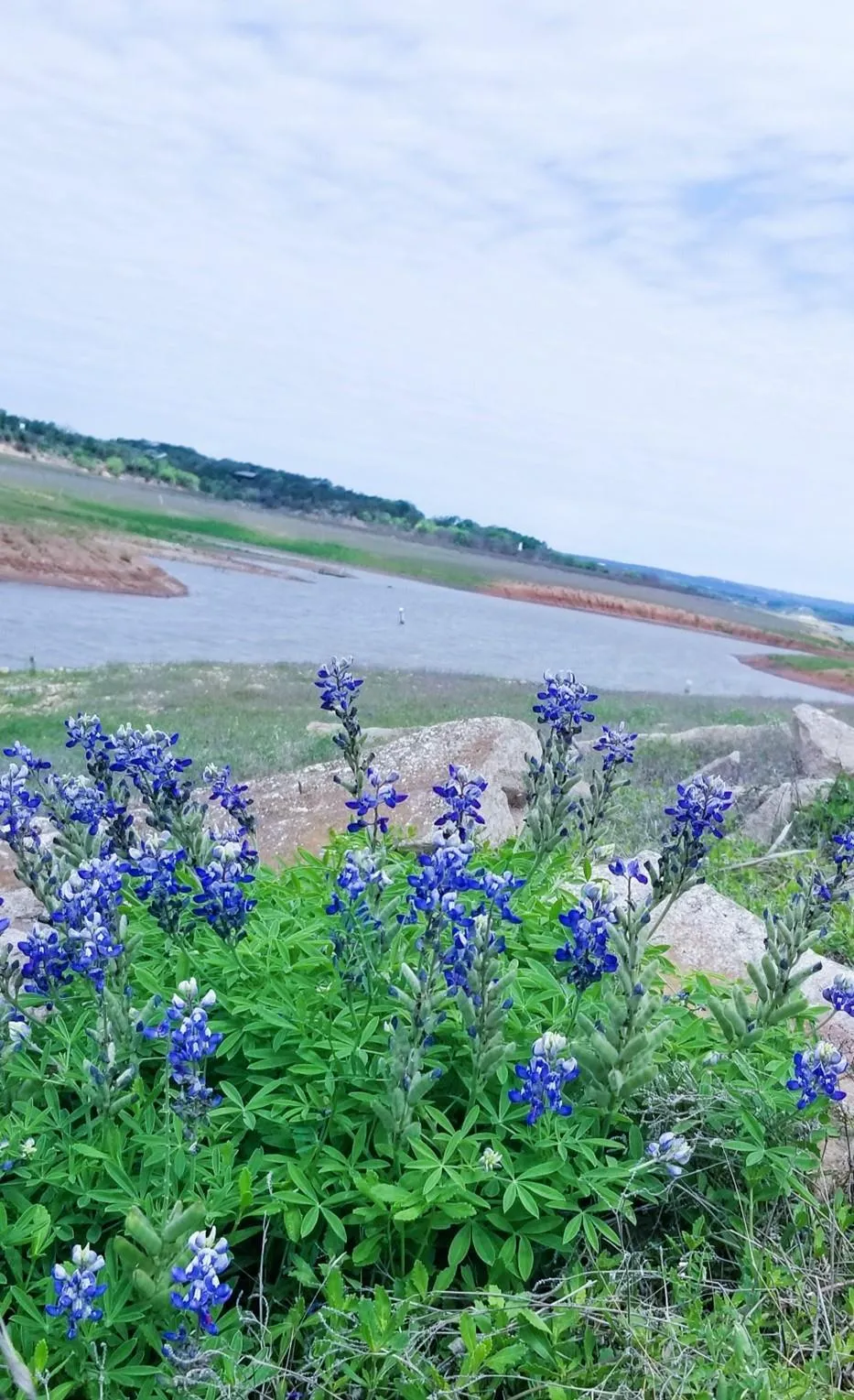 1033 Coventry Road Spicewood, TX 78669