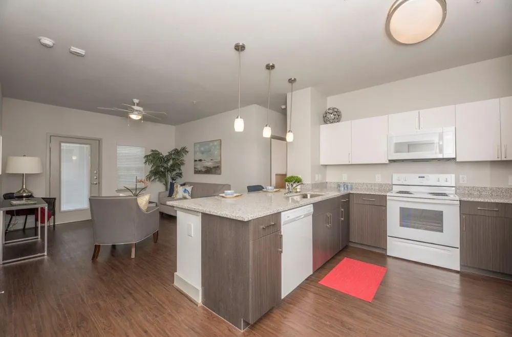 2605 Reed Rd Houston, TX 77051