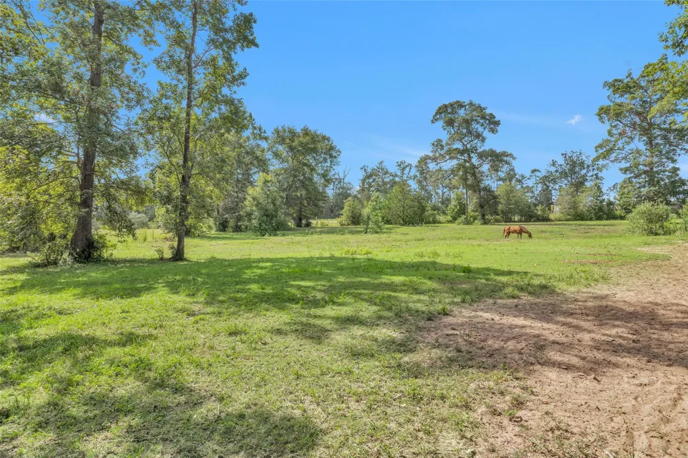 10810 Farrell Road Willis, TX 77378