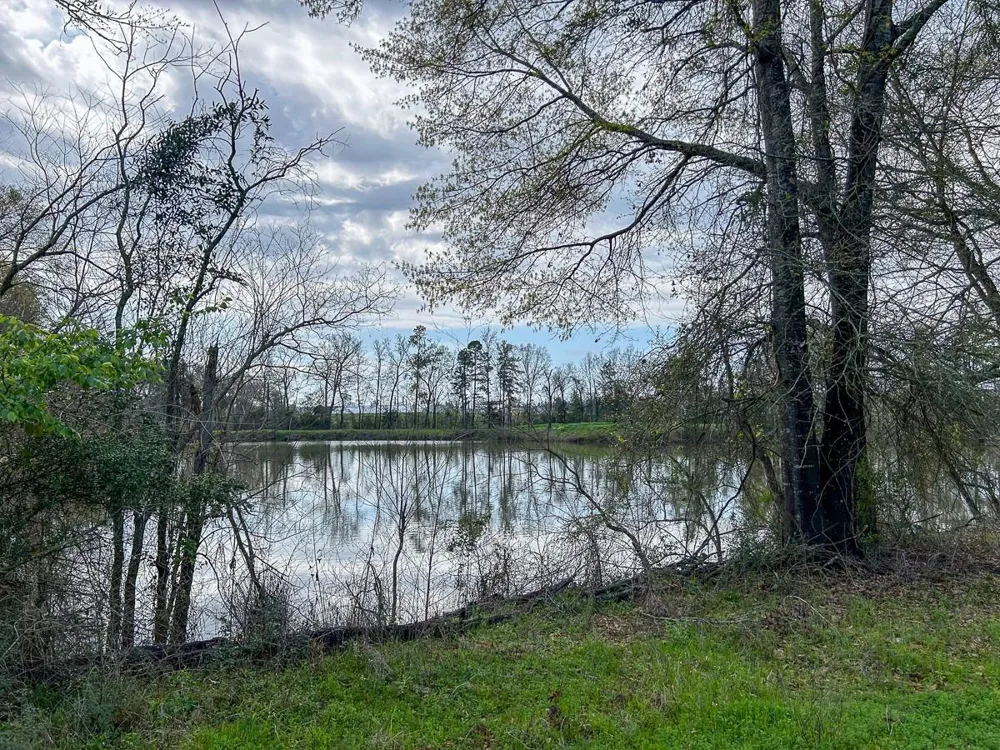 Kurth Dr Lufkin, TX 75904