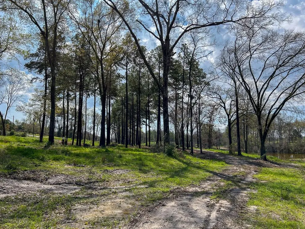 Kurth Dr Lufkin, TX 75904