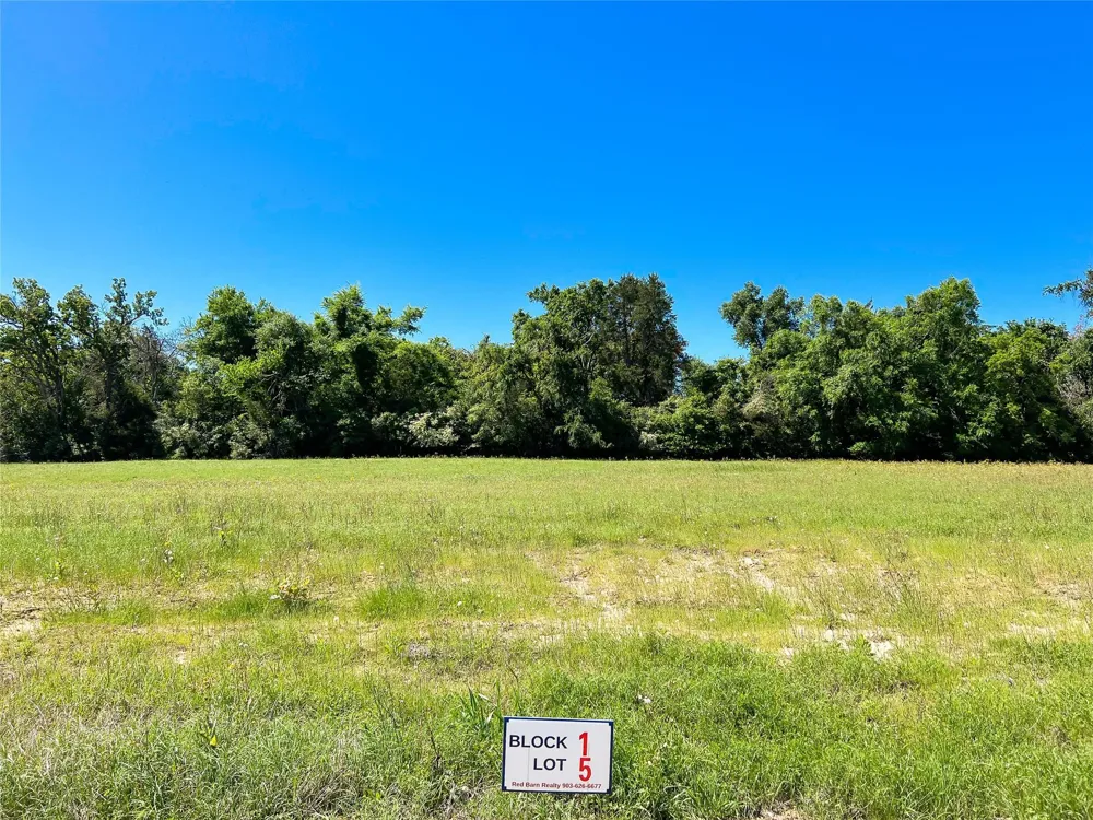 Broadway Street Jewett, TX 75846