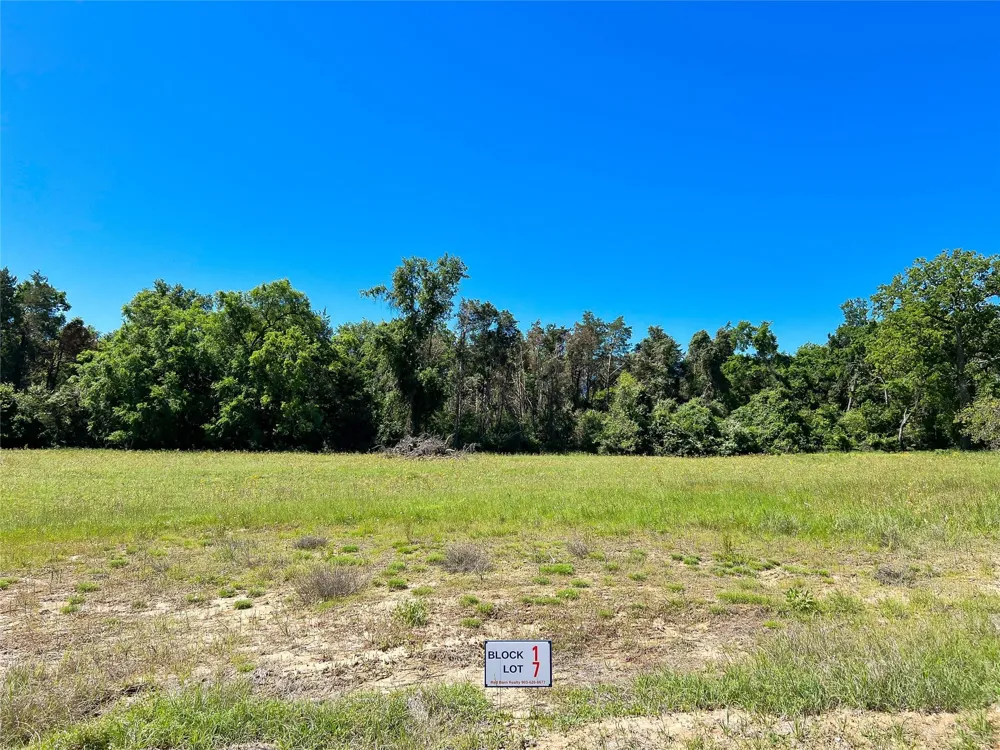 Broadway Street Jewett, TX 75846