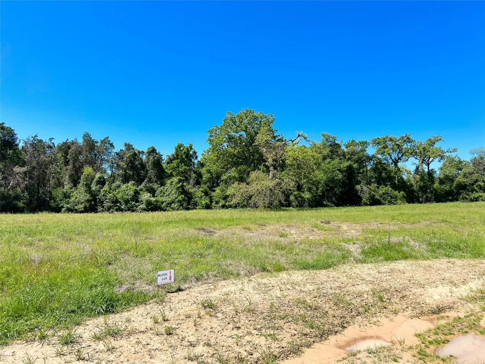 Broadway Street Jewett, TX 75846
