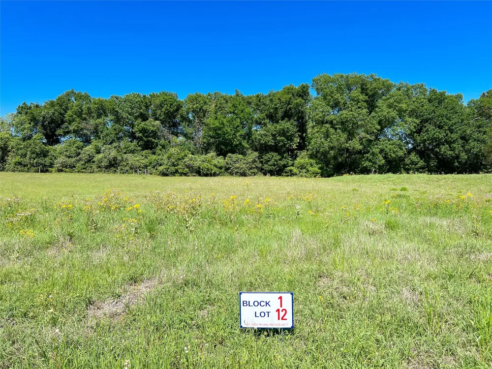 Broadway Street Jewett, TX 75846