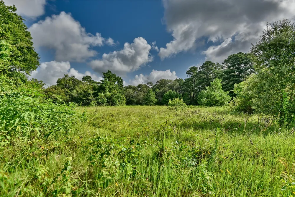 3959 E Hwy 105 Highway E Navasota, TX 77868
